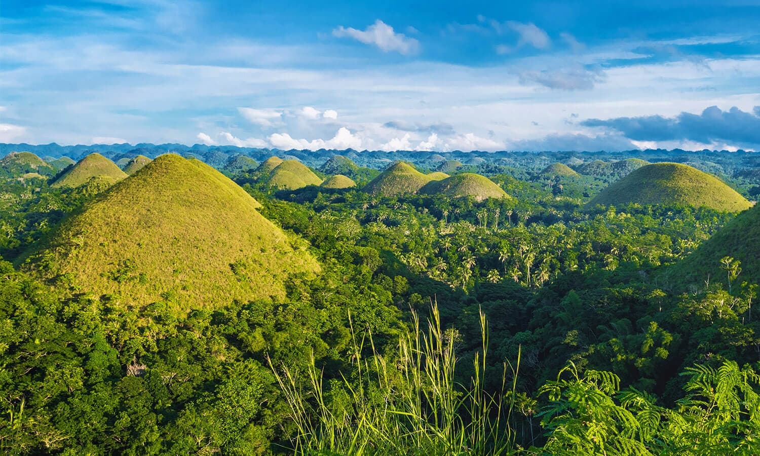 Bohol