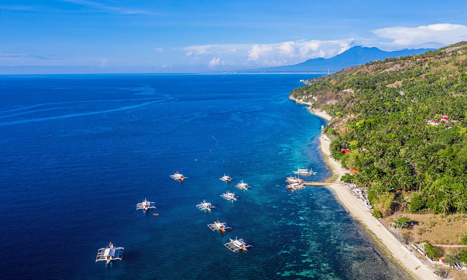 Oslob Cebu