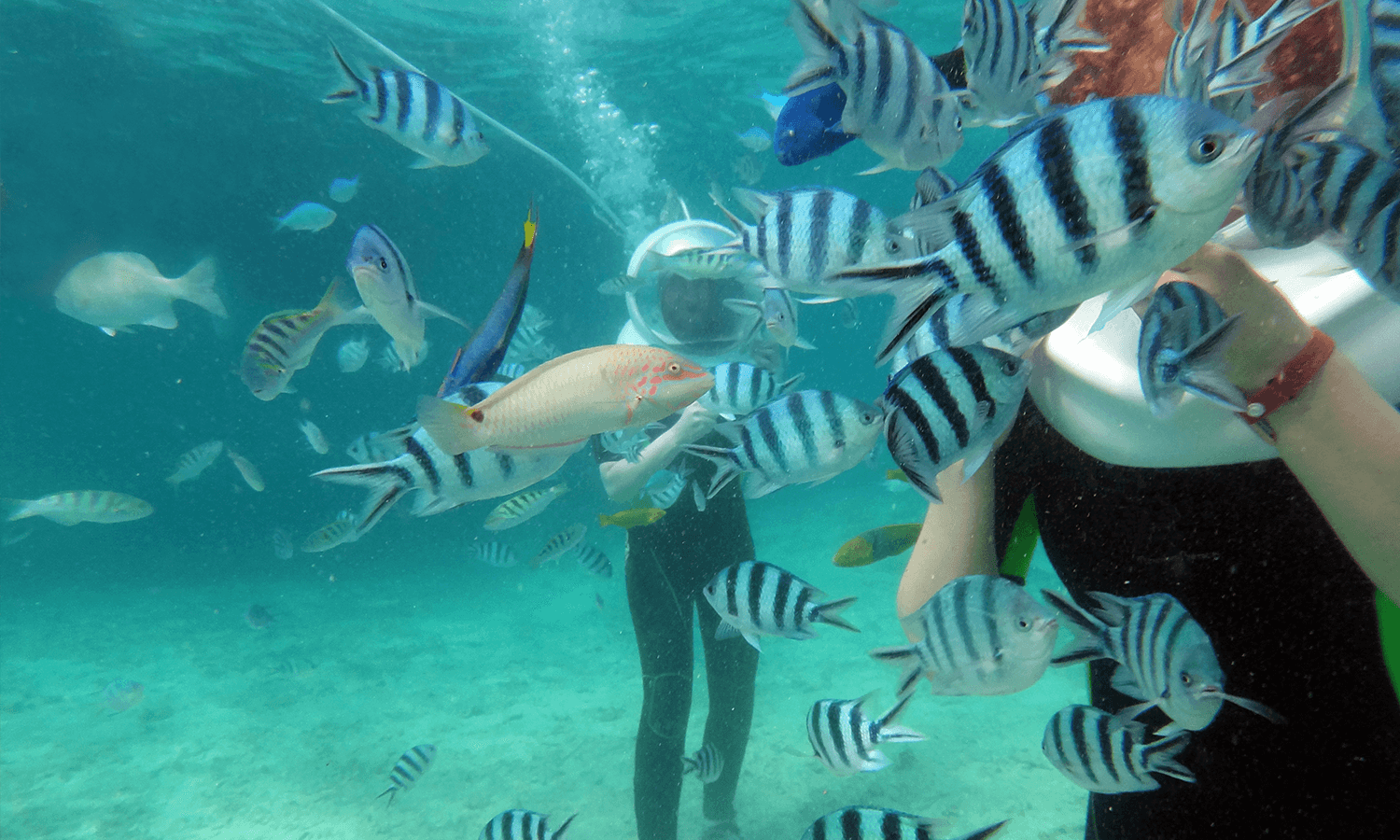 Helmet Diving in Boracay