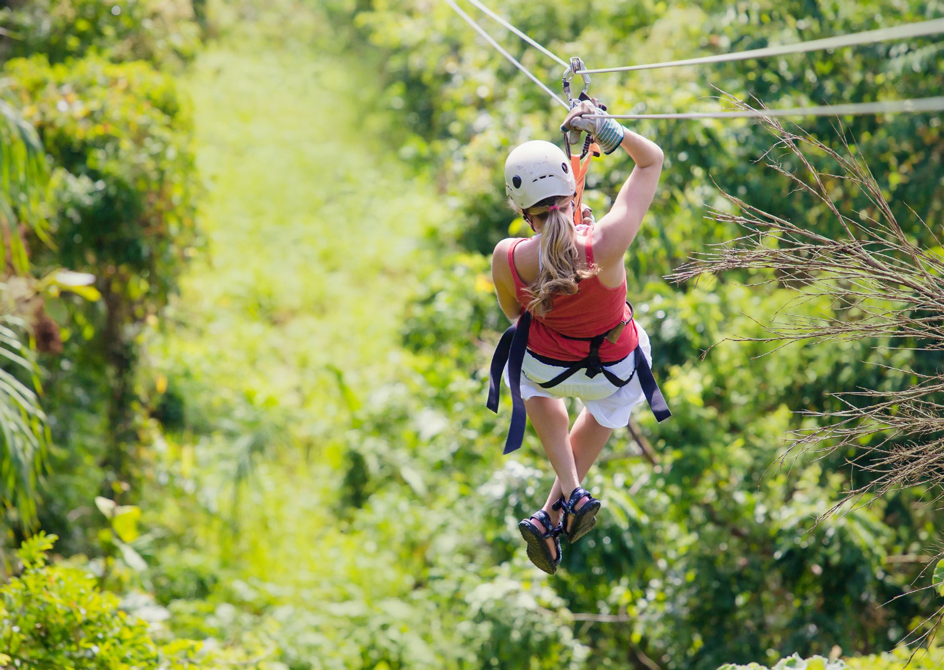 Mountain canopy zipline eco adventure
