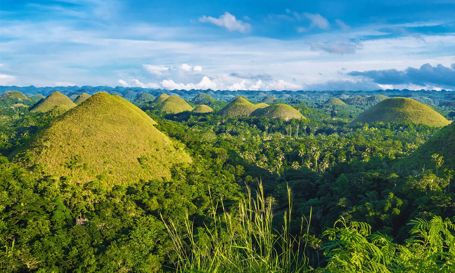Chocolate Hills in Carmen Bohol