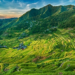 Banaue Rice terraces