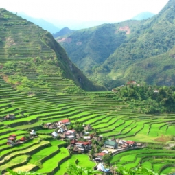 Banaue rice terraces with houses