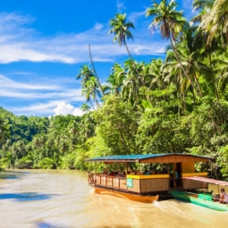 River cruise in Loboc River