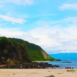 Dicasalarin Beach Baler