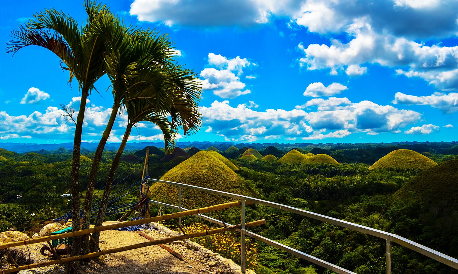 chocolate hills travel and tours