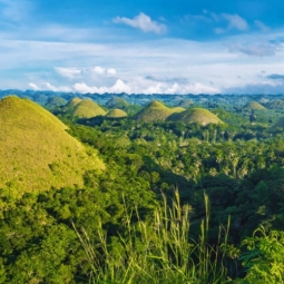 Chocolate hills green forest in Bohol