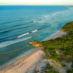 Aerial shot coastal beach