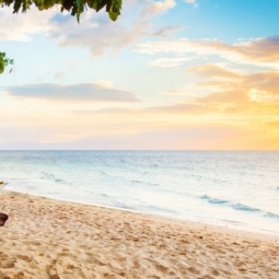 White sand beach in Moalboal