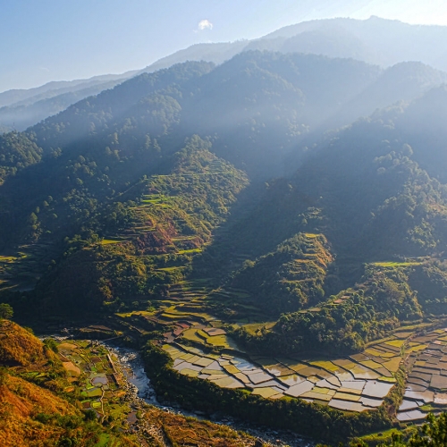 Sagada Mountain Province Rice Terraces