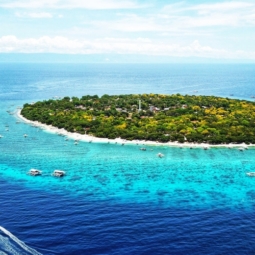 Balicasag Island Bohol aerial view