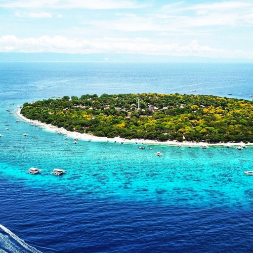 Balicasag Island Bohol aerial view