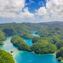 Mangroves forest cove in Sugba Island Siargao